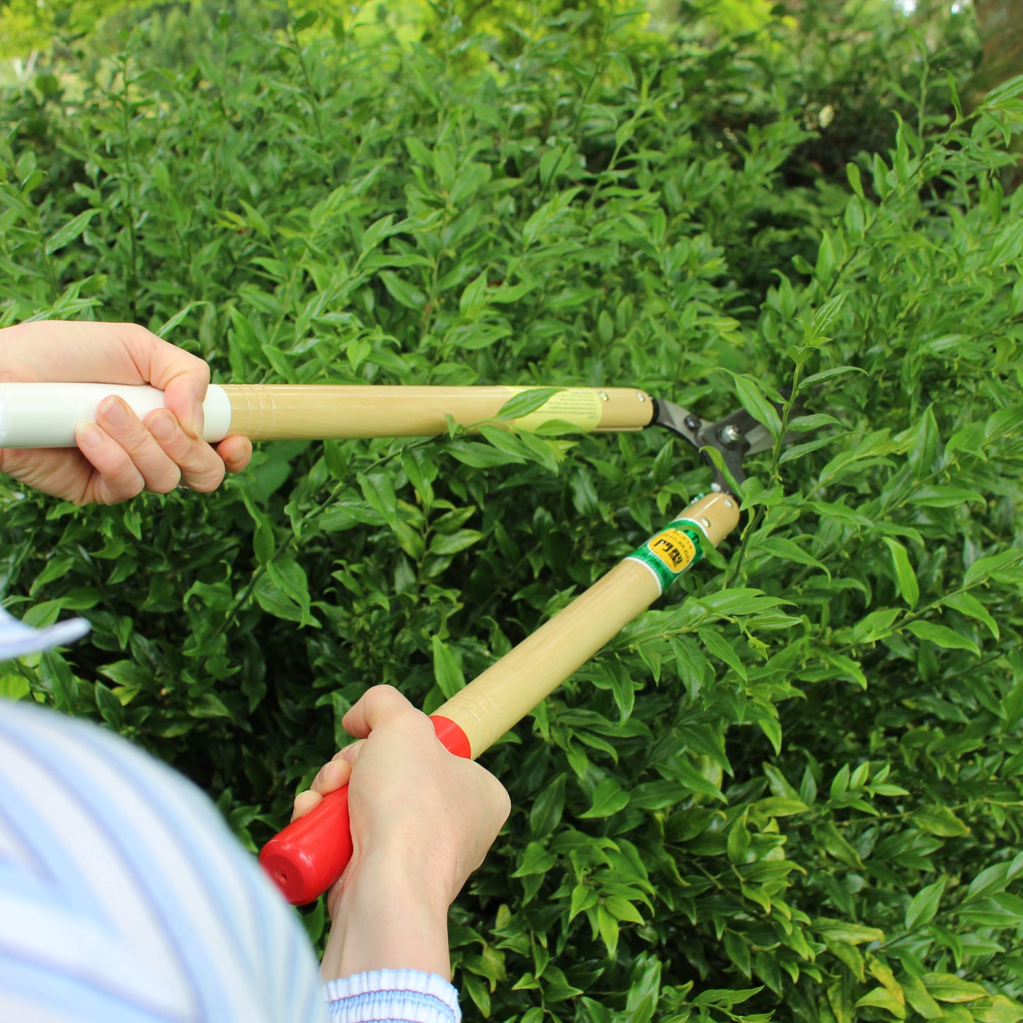 Okatsune 214 Hedge Shears