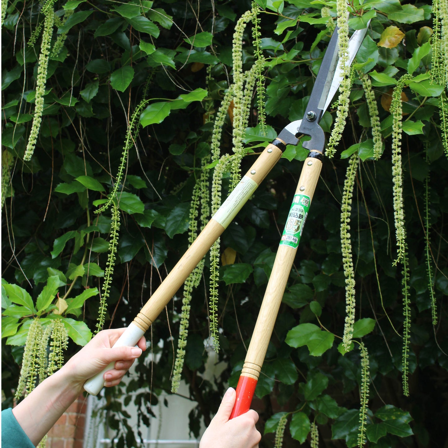 Okatsune 230 Hedge Shears