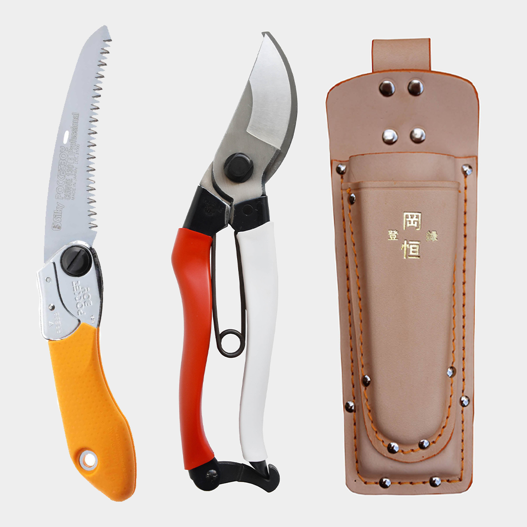 Small Pocketboy Curve Edition Gift Set