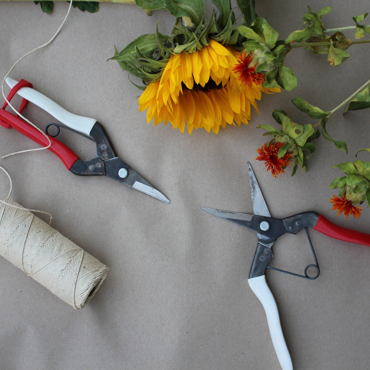 Okatsune 307 Thinning Snips