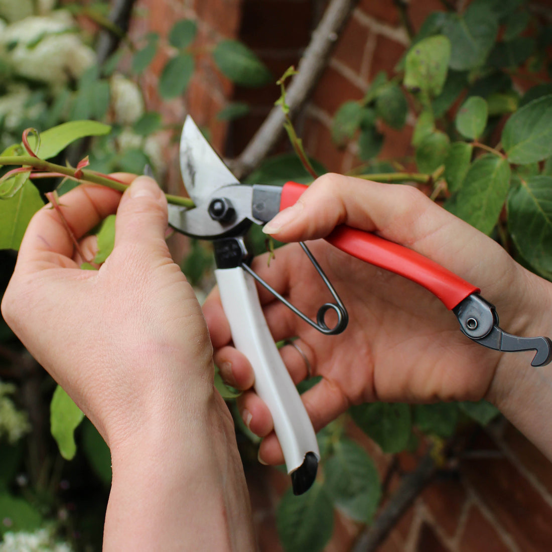 How to Choose the Right Size Secateurs for Your Hands