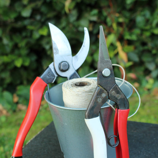 What's the difference between Snips and Secateurs?