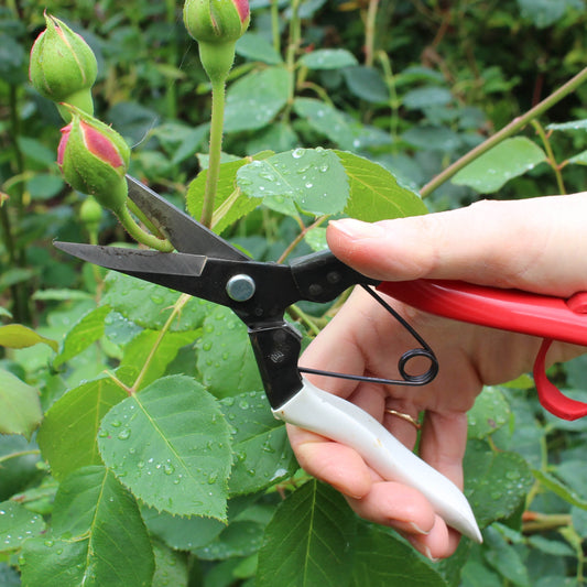 What stems can I cut with my Okatsune Gardening Tools?