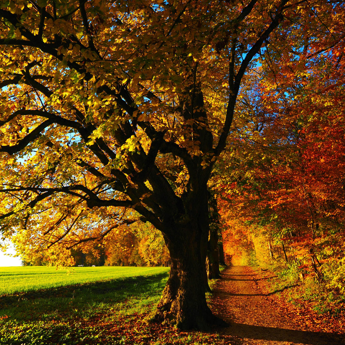 Happy Autumn Equinox