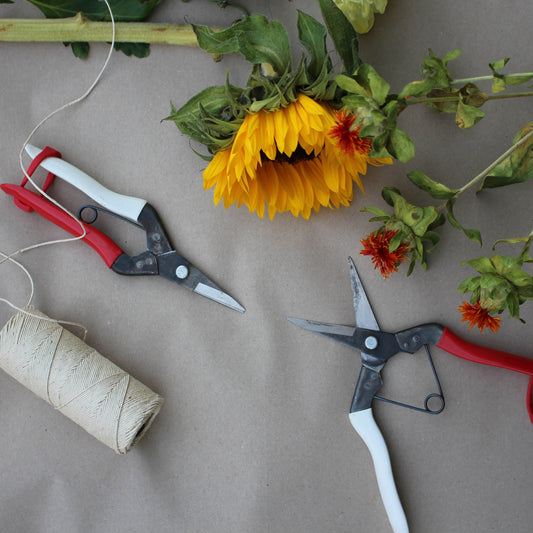 Essential Garden Tools for Autumn