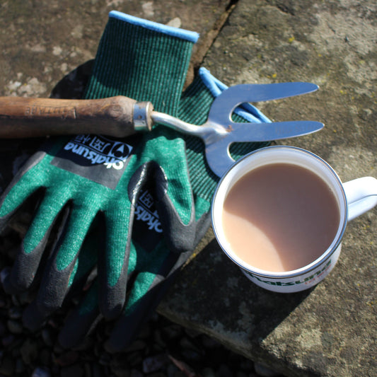 Gardening Tasks to do in March.