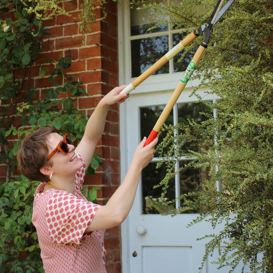 Which Okatsune Hedge Shears Are Best for June and July Garden Jobs?
