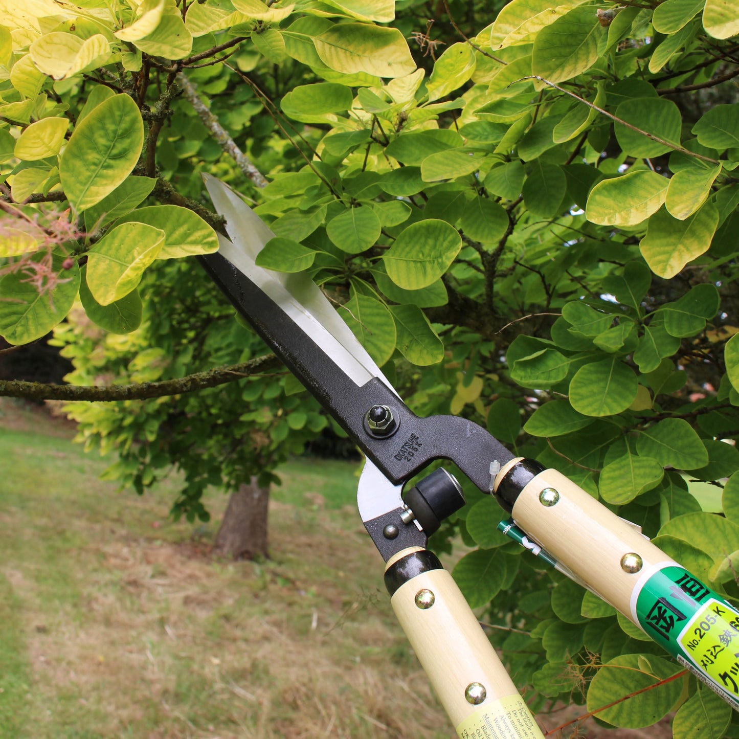Okatsune 205-K Hedge Shears