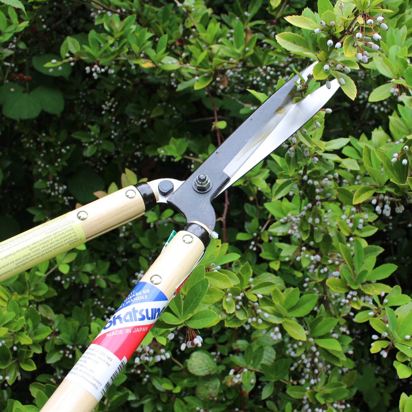 Okatsune 217 Hedge Shears