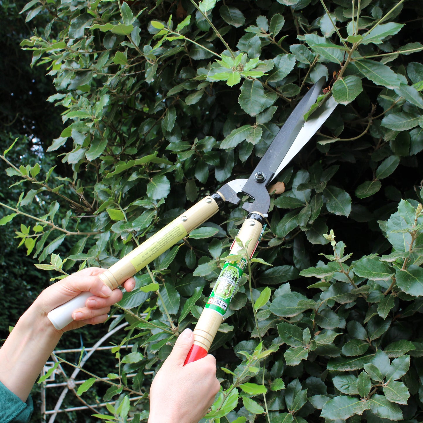 Okatsune 231 Hedge Shears