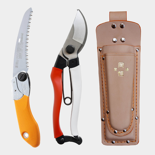 Small Pocketboy Curve Edition Gift Set